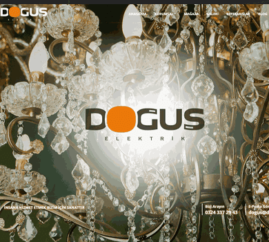 Web Sitesi Projesi - doguselektrik