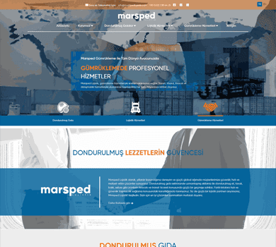 Web Sitesi Projesi - marspedlojistik
