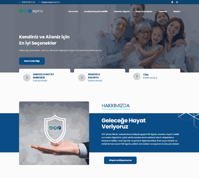 Web Sitesi Projesi - pdrsigorta